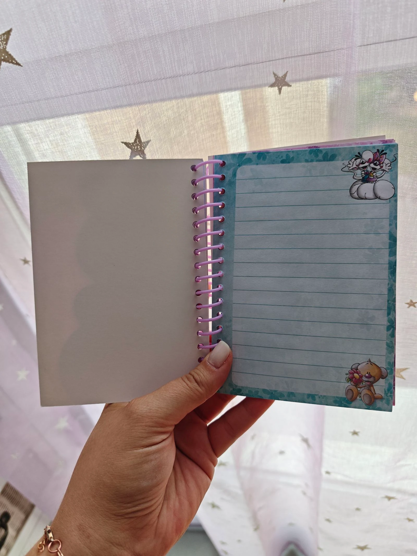 Petit cahier carnet Diddl is Back Diddlina Danseuse France A6 – photo 5